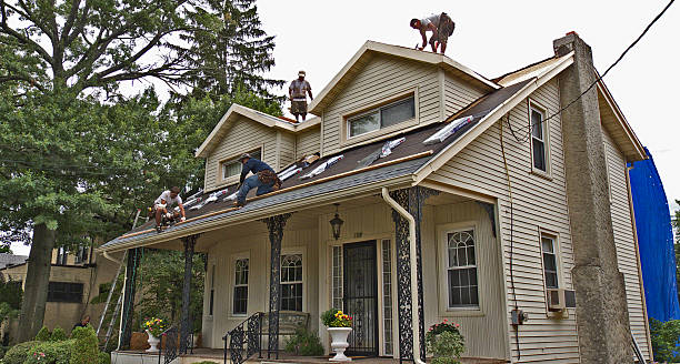 Professional Roofing Contractor in Enoch, UT